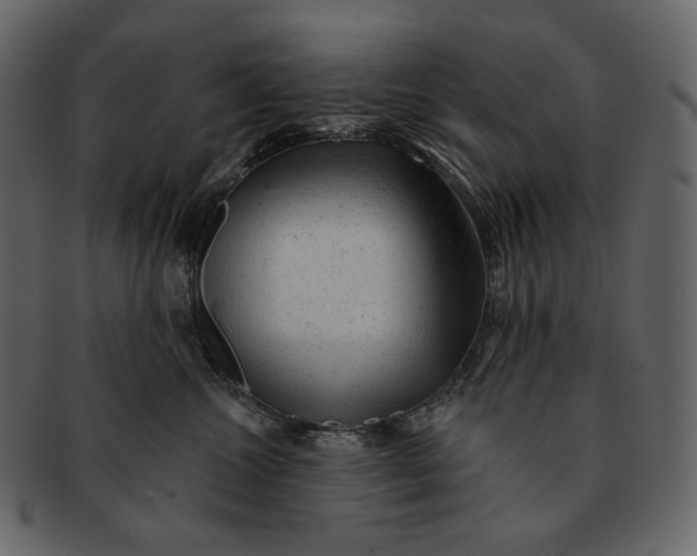 X0000092300572200710051222