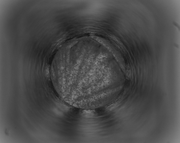 X0000092300573200710051222