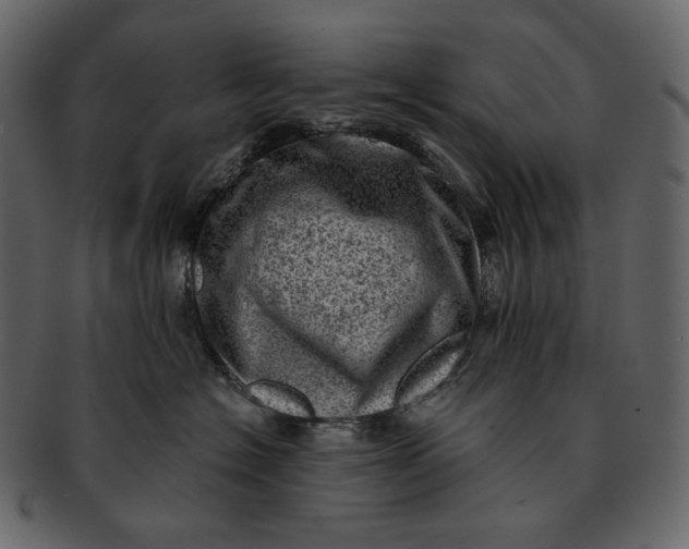 X0000092300574200710051222