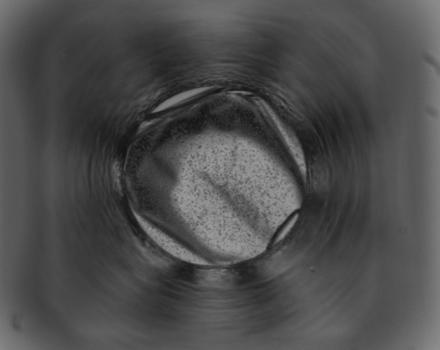 X0000092300575200710051222