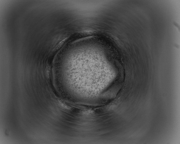 X0000092300576200710051222