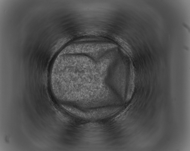 X0000092300578200710051222