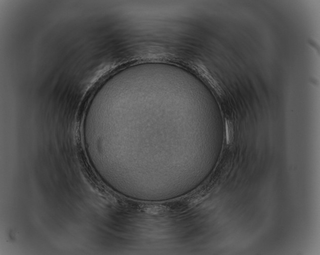 X0000092300579200710051222