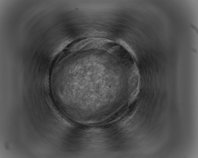 X0000092300581200710051222