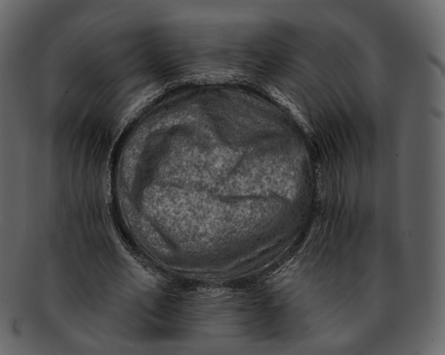 X0000092300582200710051222