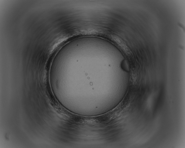 X0000092300583200710051222