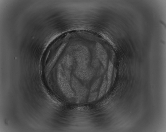 X0000092300584200710051222