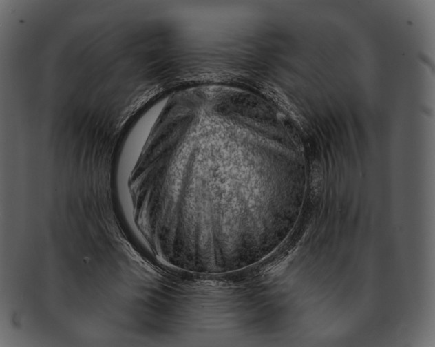 X0000092300585200710051222