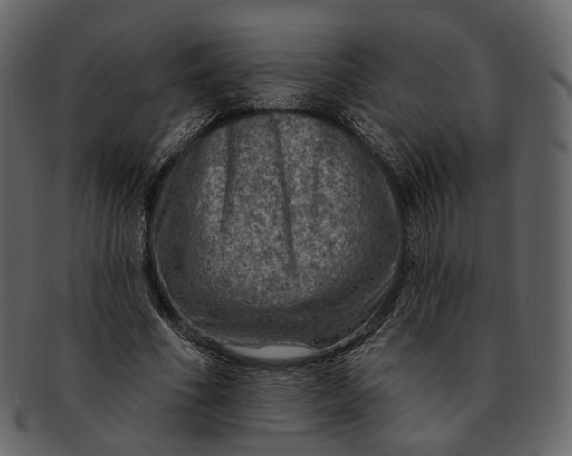 X0000092300586200710051222