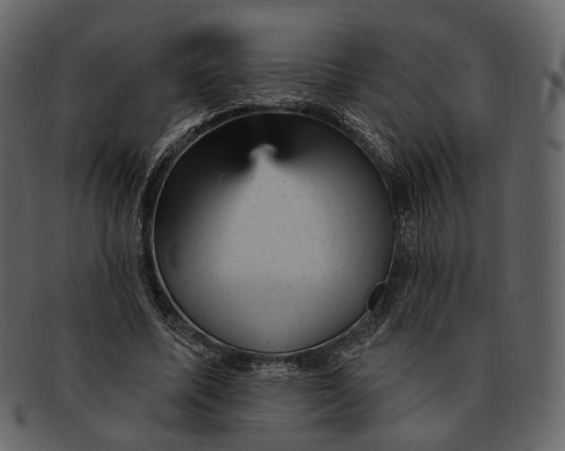 X0000092300587200710051222