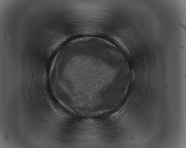 X0000092300588200710051222