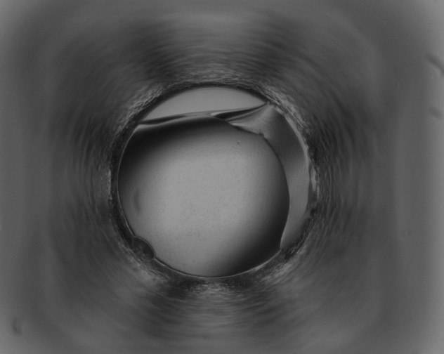 X0000092300589200710051222