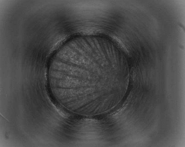 X0000092300590200710051222