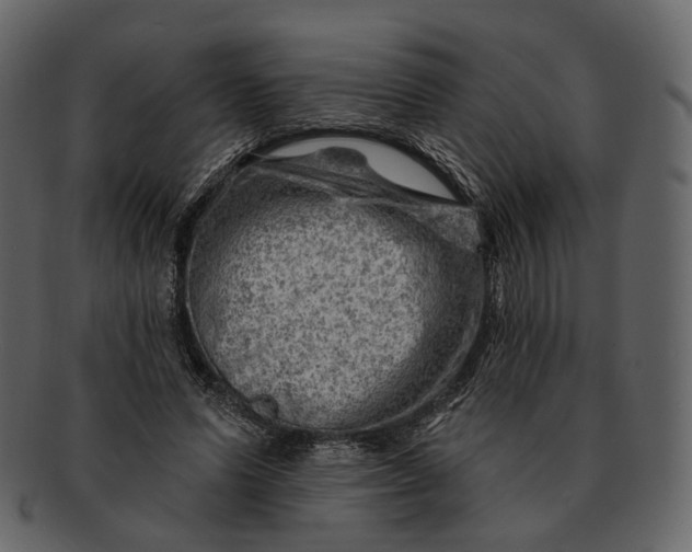 X0000092300591200710051222