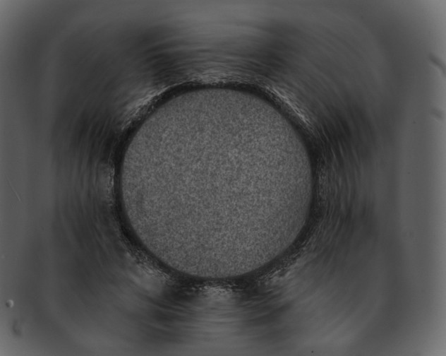 X0000092300592200710051222