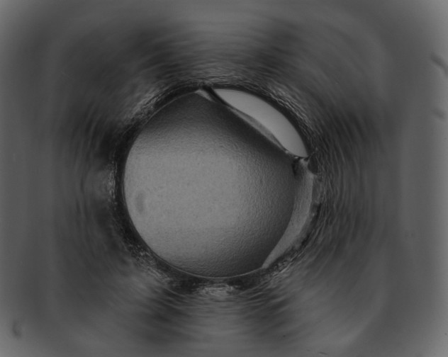 X0000092300595200710051222