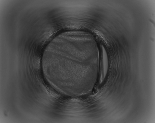 X0000092300596200710051222