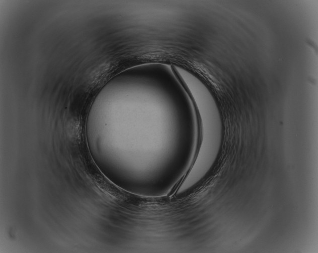 X0000092300597200710051222