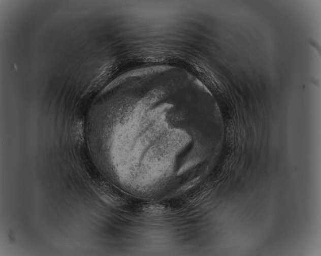 X0000092300598200710051221