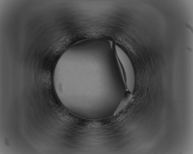 X0000092300599200710051221