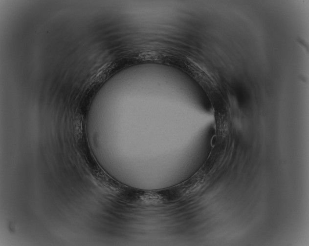 X0000092300603200710051221