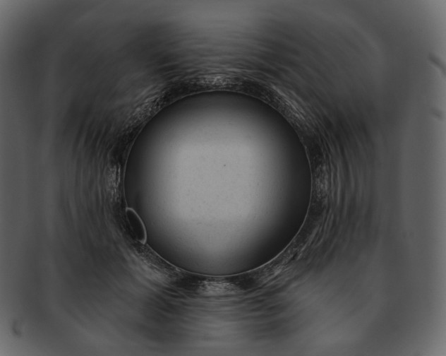 X0000092300605200710051221