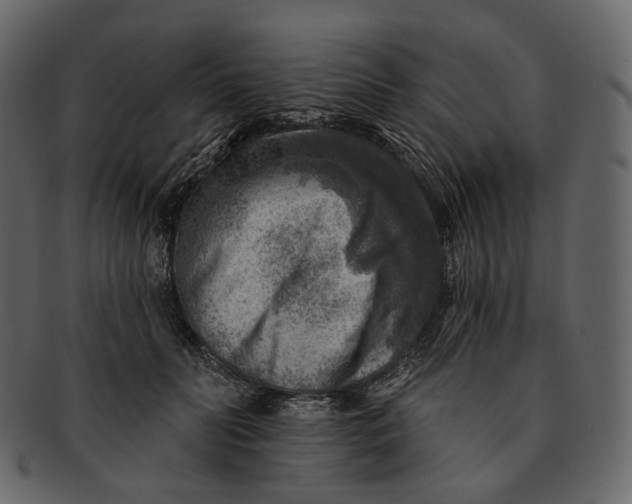 X0000092300606200710051221