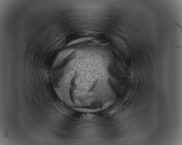 X0000092300607200710051221