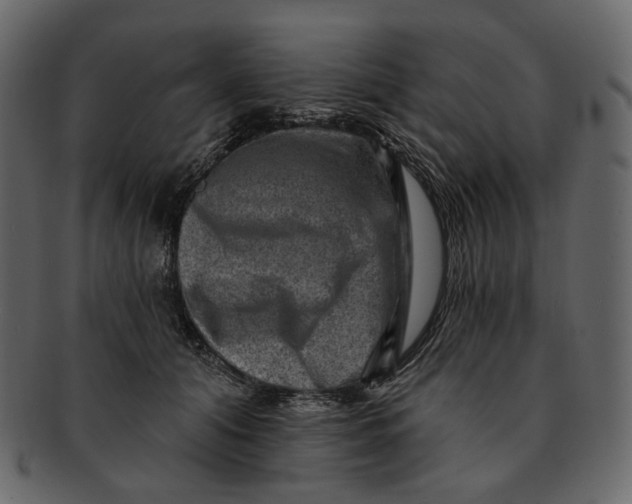 X0000092300608200710051221