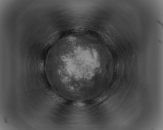 X0000092300610200710051221