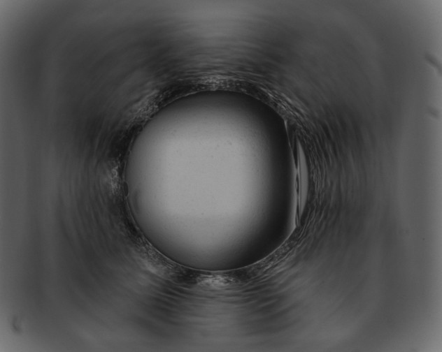 X0000092300611200710051221