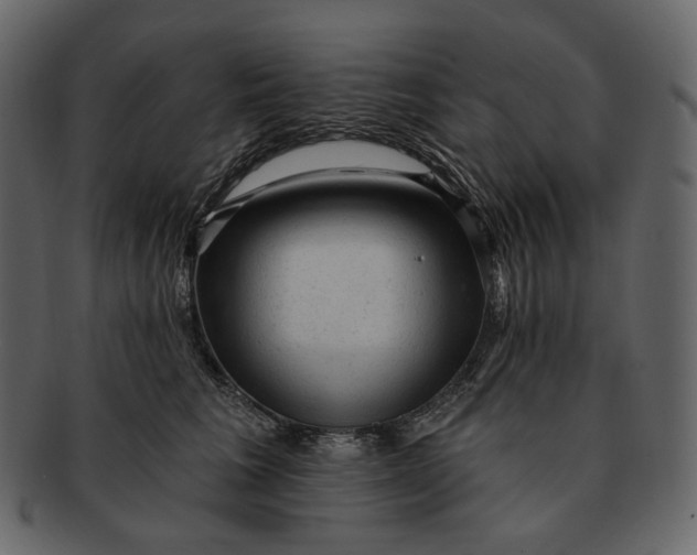 X0000092300613200710051221