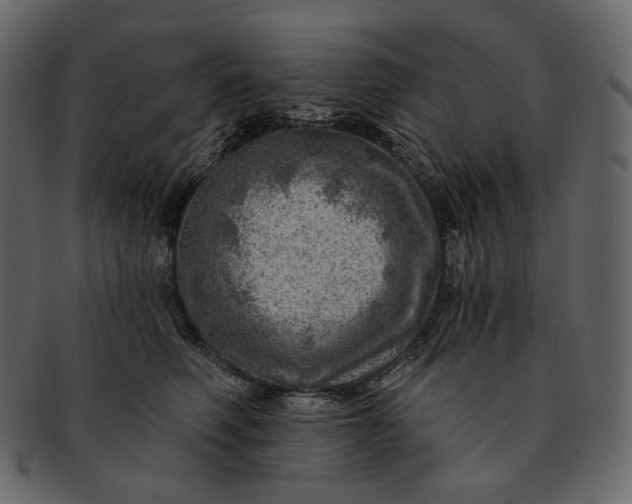 X0000092300614200710051221