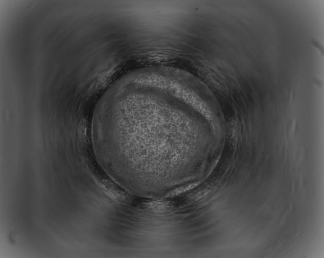 X0000092300615200710051221