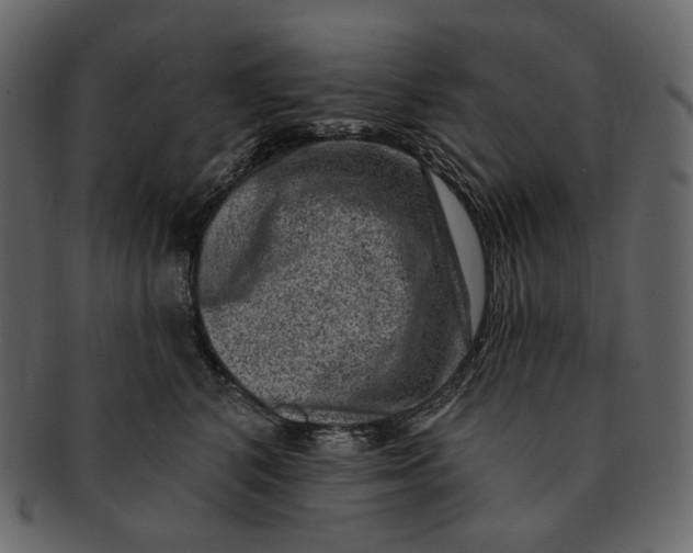 X0000092300616200710051221