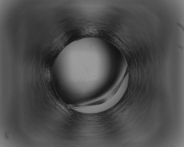 X0000092300617200710051221