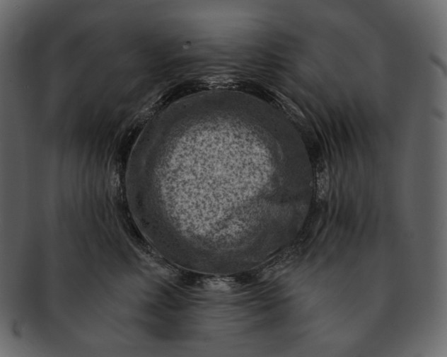 X0000092300618200710051221