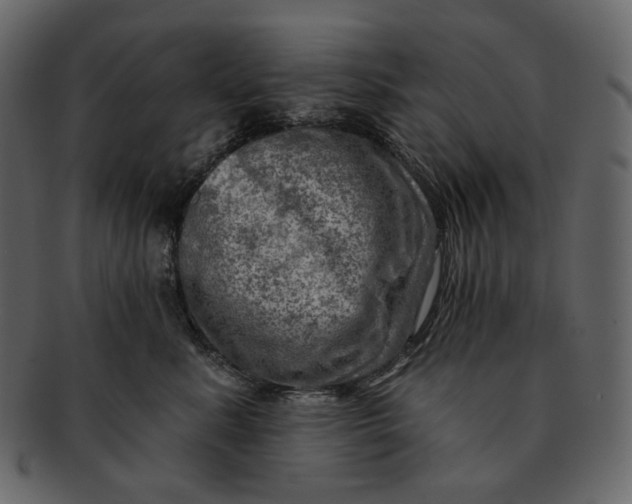 X0000092300619200710051221