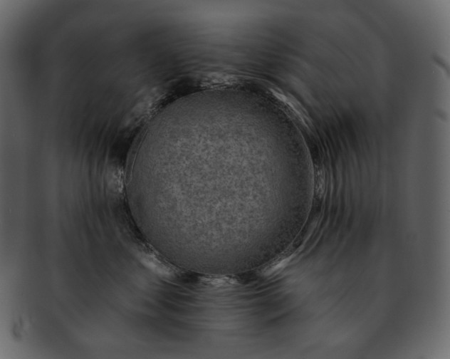 X0000092300621200710051221