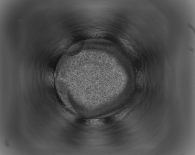 X0000092300622200710051221