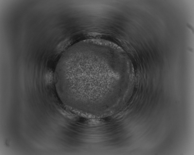 X0000092300623200710051221