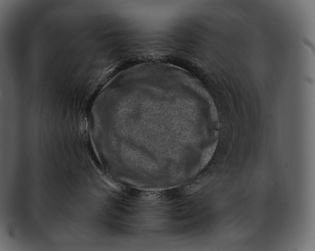 X0000092300624200710051221