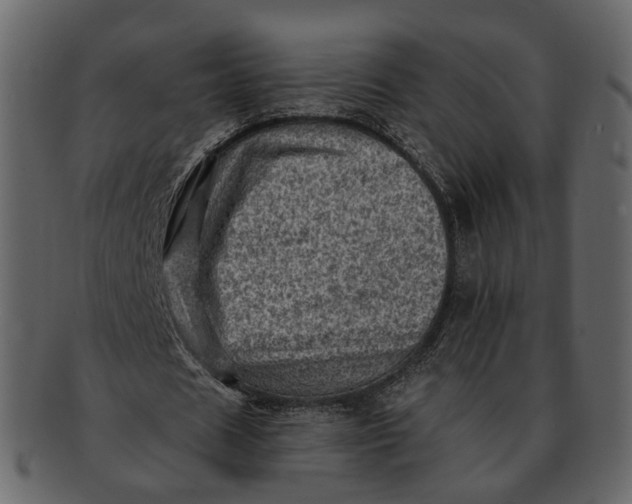 X0000092300625200710051221