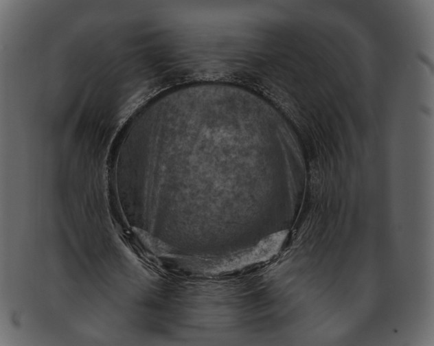 X0000092300626200710051221