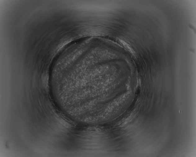 X0000092300627200710051221