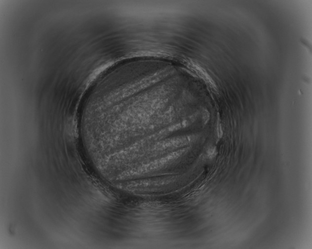 X0000092300628200710051221