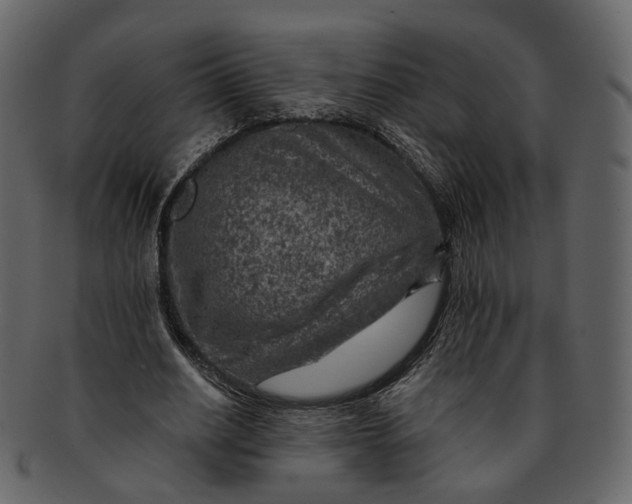 X0000092300630200710051221