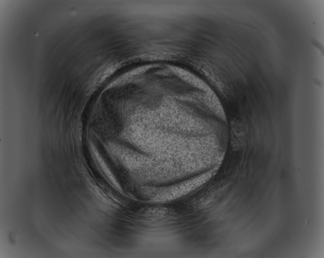 X0000092300631200710051221