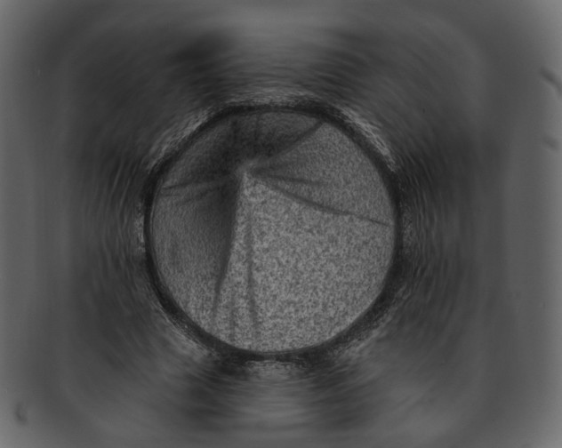 X0000092300633200710051221