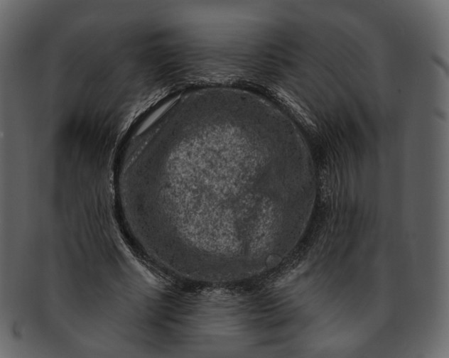 X0000092300634200710051221